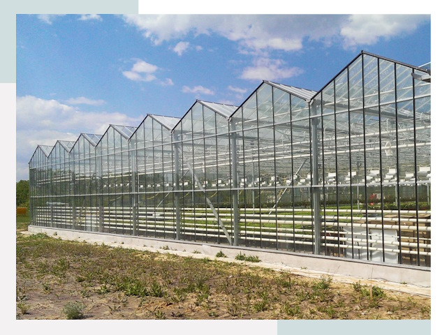 Строительство теплиц в Нижневартовск от 622 руб. за м²